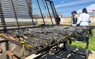 Innovación con raíces: Grupo MRM explora el futuro del calçot madrileño en la Finca El Encín