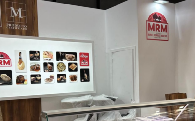 Así ha sido el montaje del espacio de GRUPO MRM en Salón Gourmets 2026